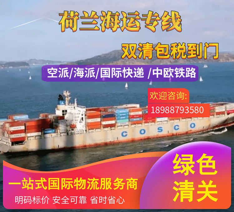 荷兰海运：一站式双清包税服务，快速高效！